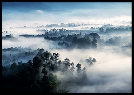 Misty Rainforest Poster in the group Prints / Nature at Desenio AB (10241)
