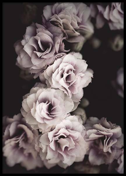 Bouquet De Fleurs Poster in the group Prints / Photographs at Desenio AB (10433)