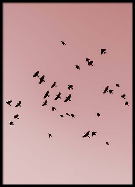Pink Bird Sky Poster in the group Prints / Nature at Desenio AB (10444)