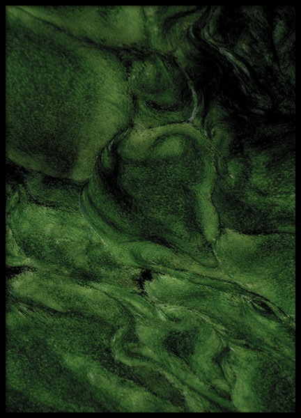 Algea Poster in the group Prints / Photographs at Desenio AB (11001)