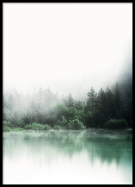 Forest Reflections Poster in the group Prints / Nature at Desenio AB (11266)