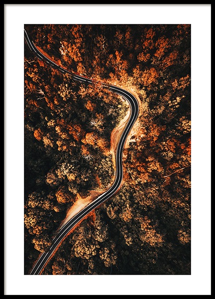Autumn Aerial View Poster in the group Prints / Nature at Desenio AB (11576)