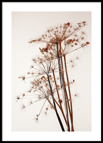 Autumn Flowers Poster in the group Prints / Photographs at Desenio AB (11871)
