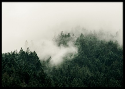 Dark Misty Forest Poster in the group Prints / Nature at Desenio AB (11881)