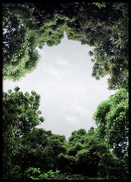 Circle of Trees Poster in the group Prints / Nature at Desenio AB (12081)