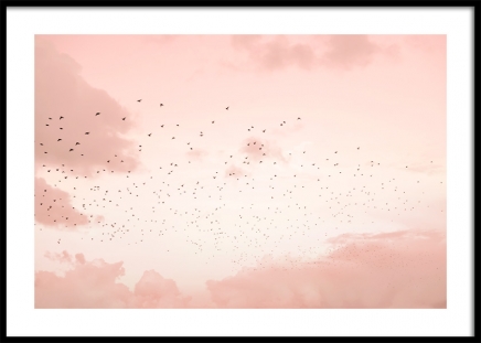 Flock of Birds Poster in the group Prints / Nature at Desenio AB (12602)