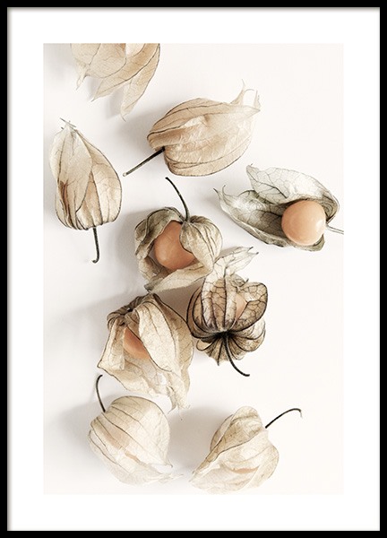 Golden Berries Poster in the group Prints / Kitchen at Desenio AB (12993)