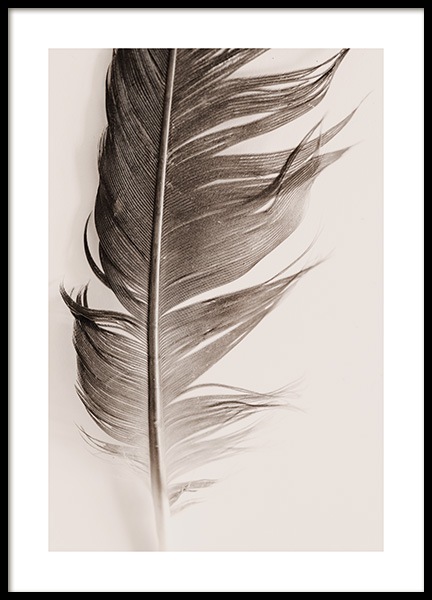 Feather Beige Poster