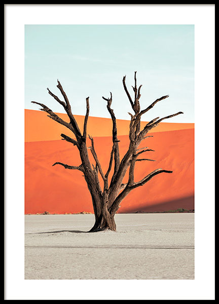 Red Desert Poster in the group Prints / Nature / Deserts at Desenio AB (14165)