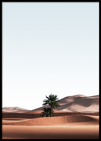 Merzouga Desert Poster in the group Prints / Nature / Deserts at Desenio AB (14444)