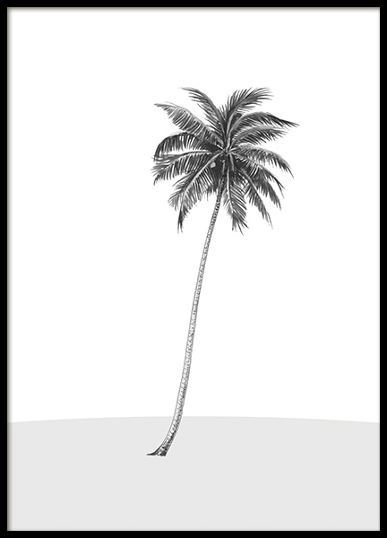 Lonely Palm Tree Poster in the group Prints / Graphical at Desenio AB (14564)