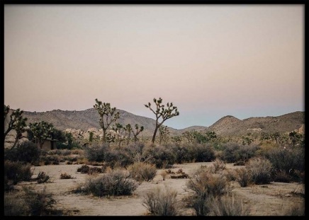 Mojave Desert Poster in the group Prints / Nature at Desenio AB (2888)