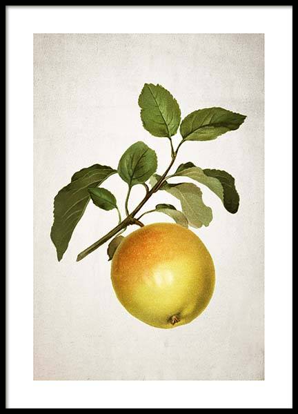 Apple Poster in the group Prints / Kitchen at Desenio AB (3511)