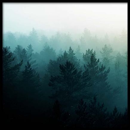 View Of Misty Forest Poster in the group Prints / Nature at Desenio AB (3567)