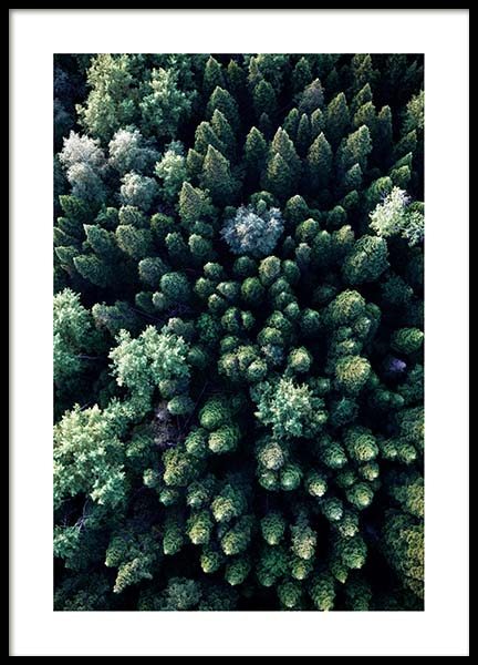 Forest Aerial Poster in the group Prints / Nature at Desenio AB (3576)
