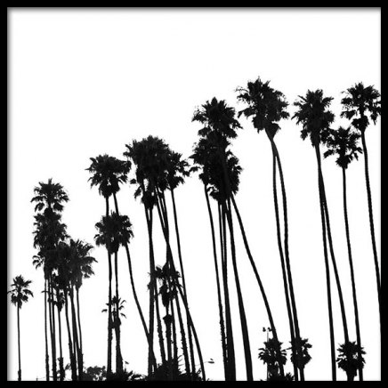 Venice Beach Palm Trees No1 Poster in the group Prints / Black & white at Desenio AB (3776)