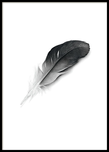 Prints and posters with a black feather, Scandinavian art and posters