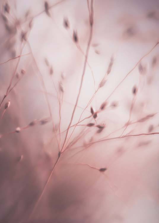 Pink Grass No.1 Poster