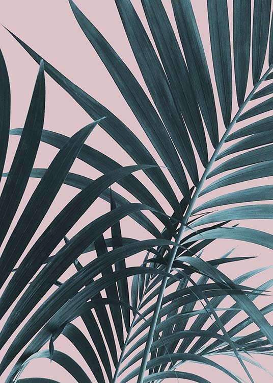 Pastel Palm No1 Poster