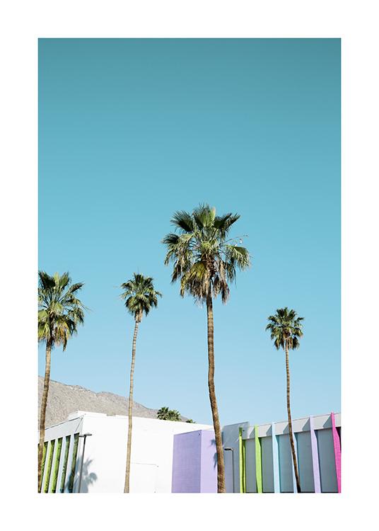 Rainbow Palms Poster