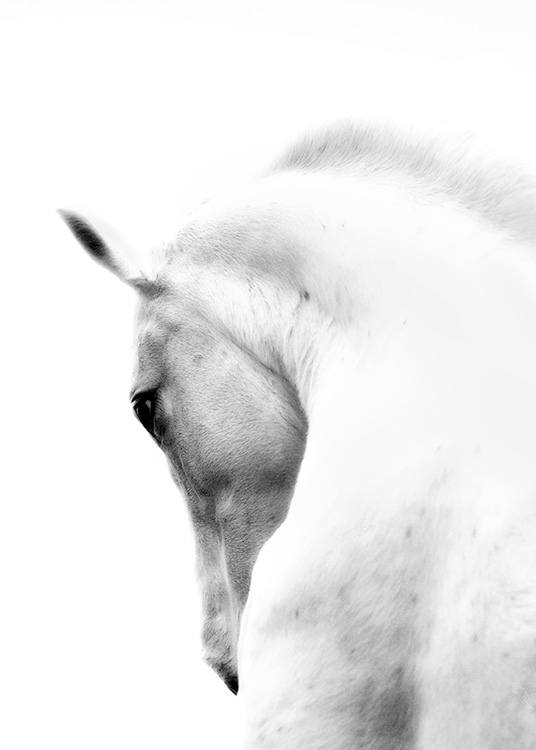 Fading Horse No2 Poster