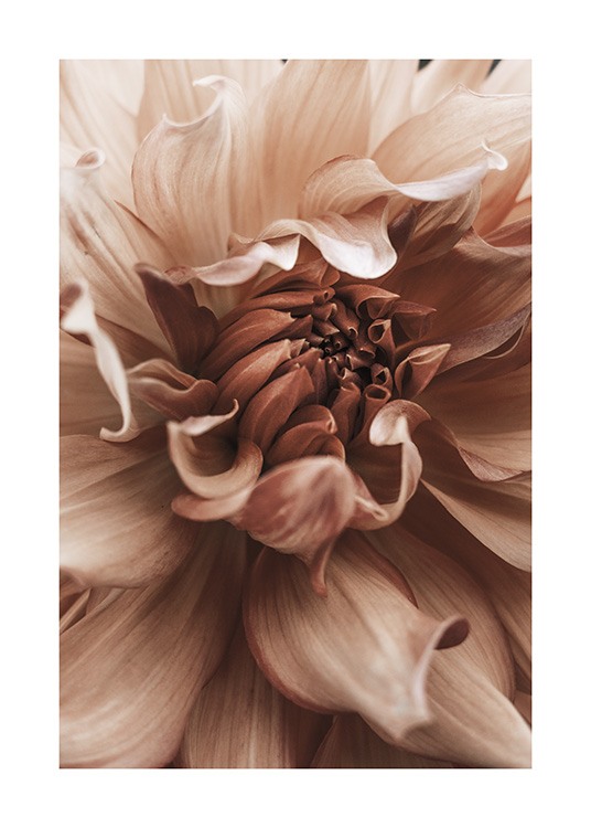 Earth Flower Poster