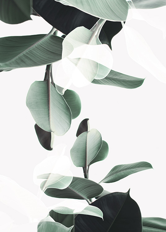 Botanical Double Exposure Poster