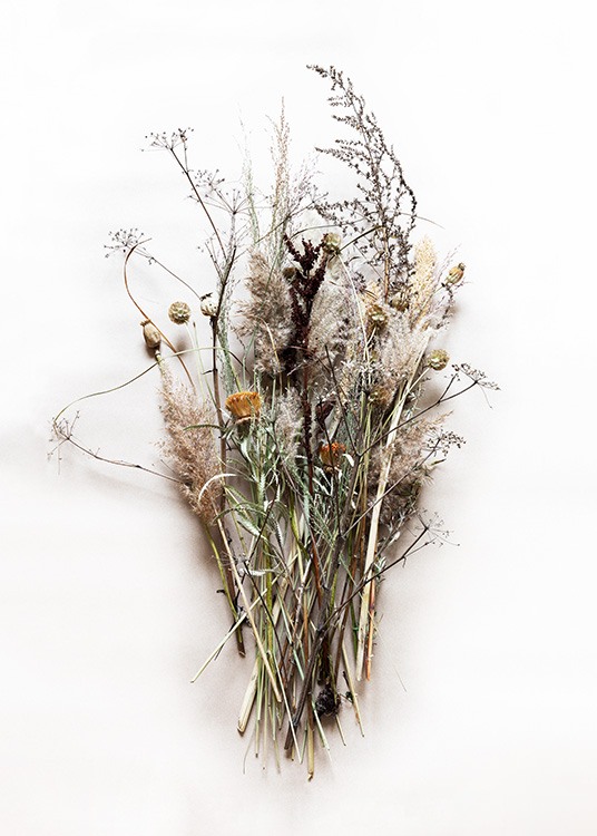 Dried Bouquet No1 Poster / Photographs at Desenio AB (11796)