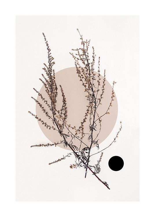 Dried Leaf No4 Poster