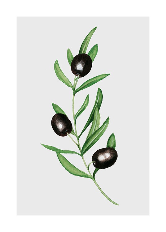 Olives Poster