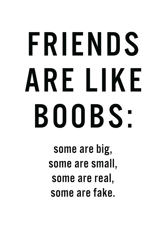 Friends Are Like Boobs Poster