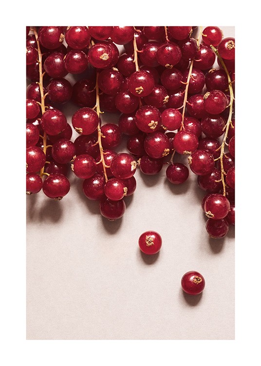 Redcurrant No2 Poster