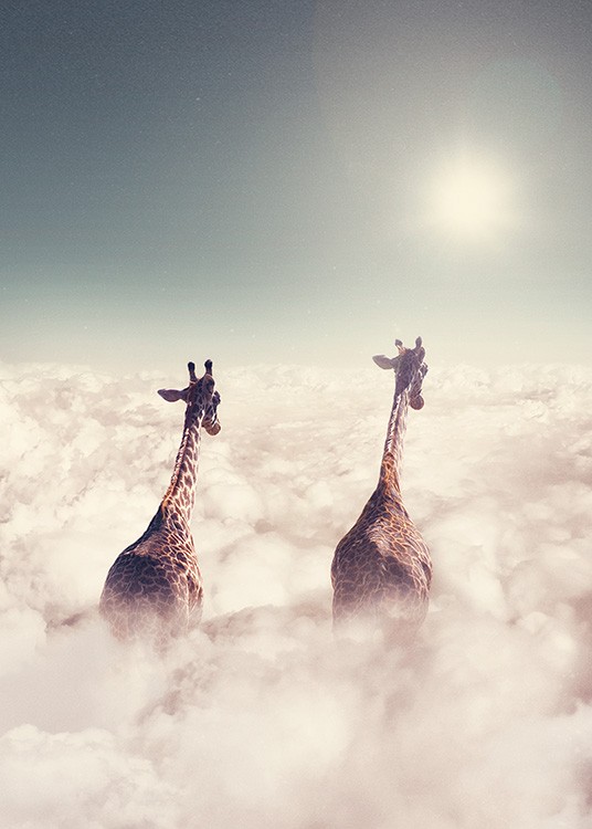 Giant Giraffes Poster