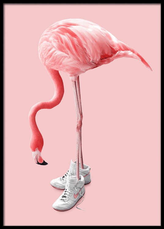 Sneaker Flamingo Poster