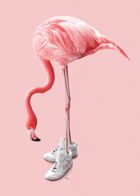 Sneaker Flamingo Poster