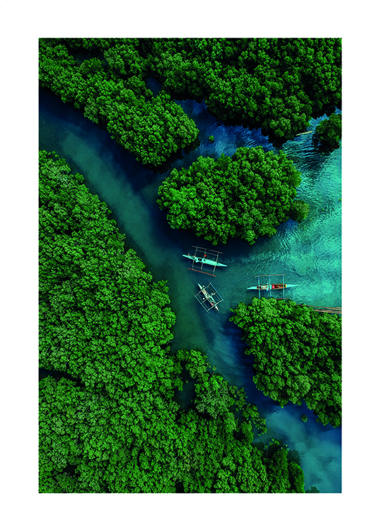 Aerial River View Poster