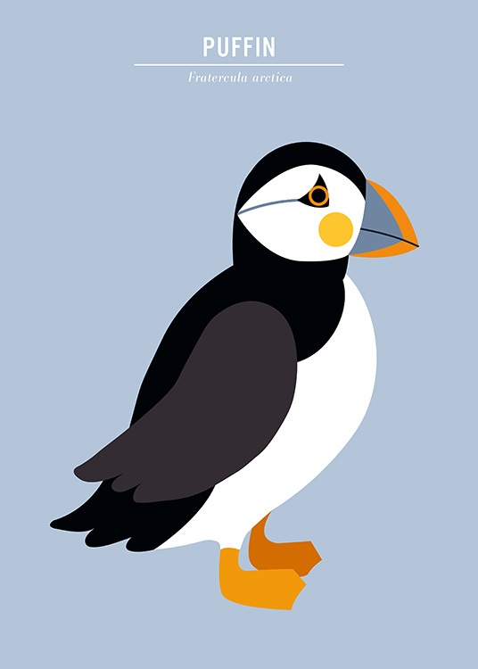 Puffin Poster - Puffin illustration - Desenio.com.au