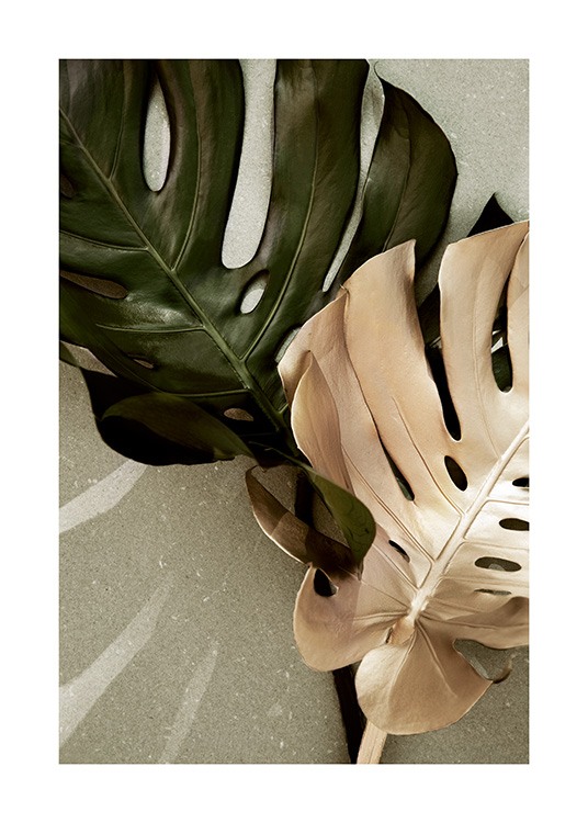 Golden Monstera Poster