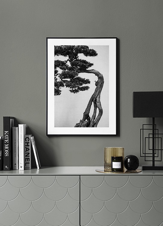 Bonsai Tree Poster