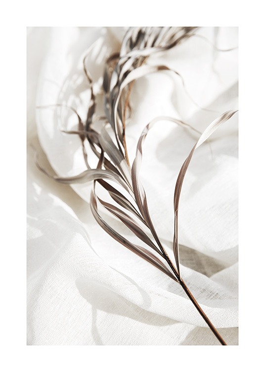 Delicate Palm Leaves No1 Poster