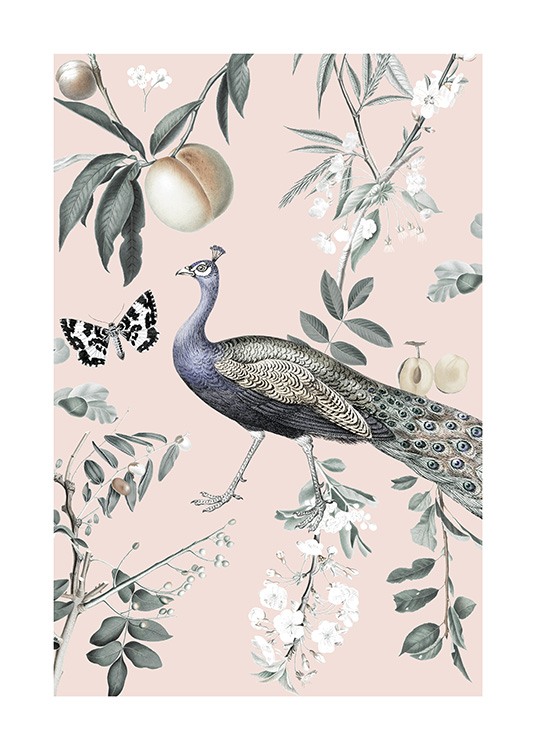 Vintage Peacock Poster