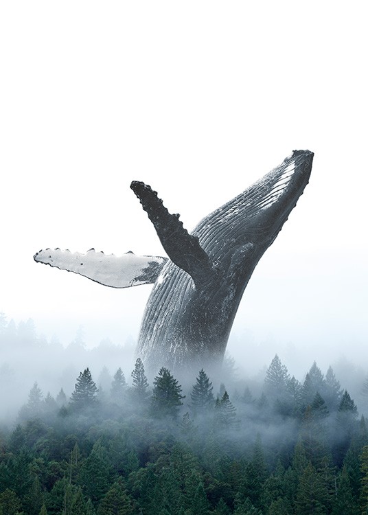 Breaching Whale Poster