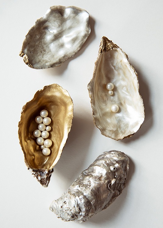 Oyster Shells No1 Poster