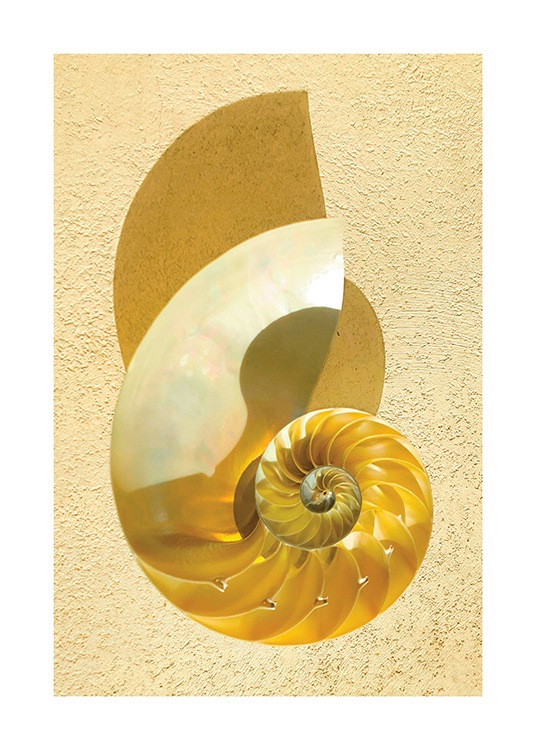 Yellow Seashell Poster