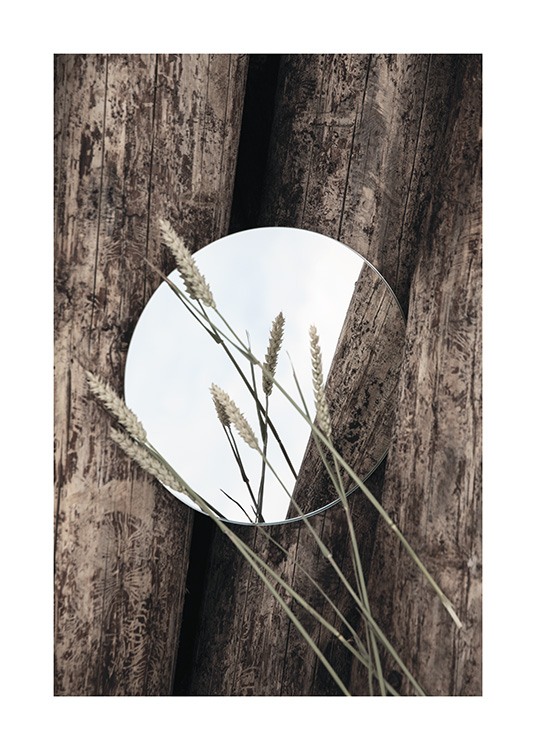 Mirror In Nature Poster