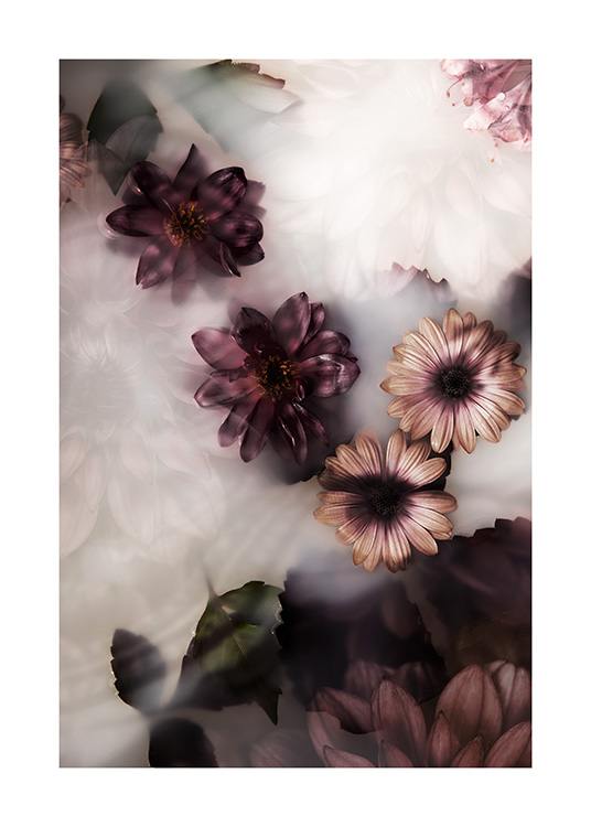  – Photograph of flowers in pink and dark purple floating in a milk bath
