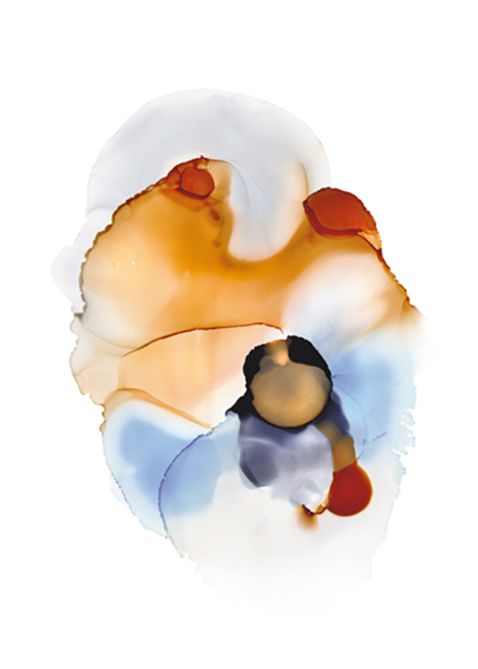 Abstract Color Flow No1 Poster