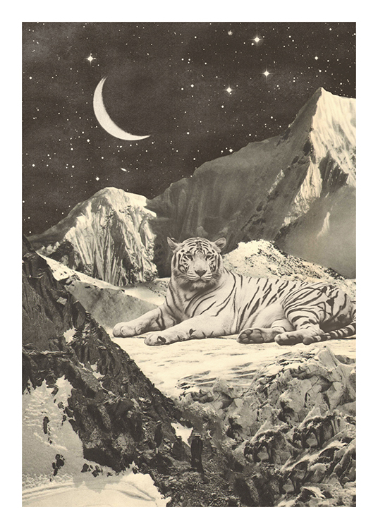 Giant White Tiger In Mountains Poster