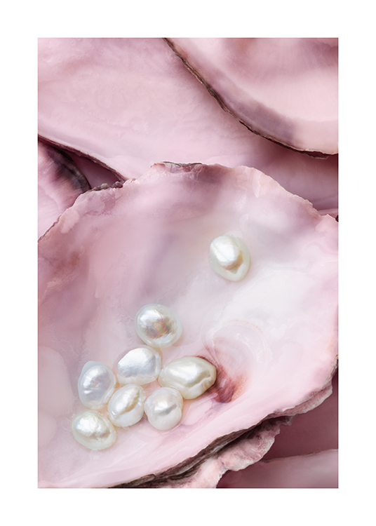  – Photograph of pink oysters with white pearls laying in one of the oysters