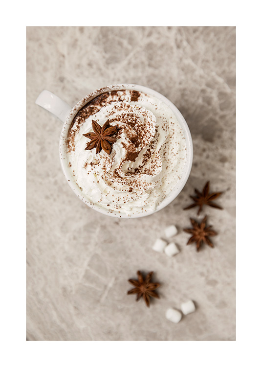  – Photograph of a mug with whipped cream sprinkled with cinnamon, star anis and marshmallows
